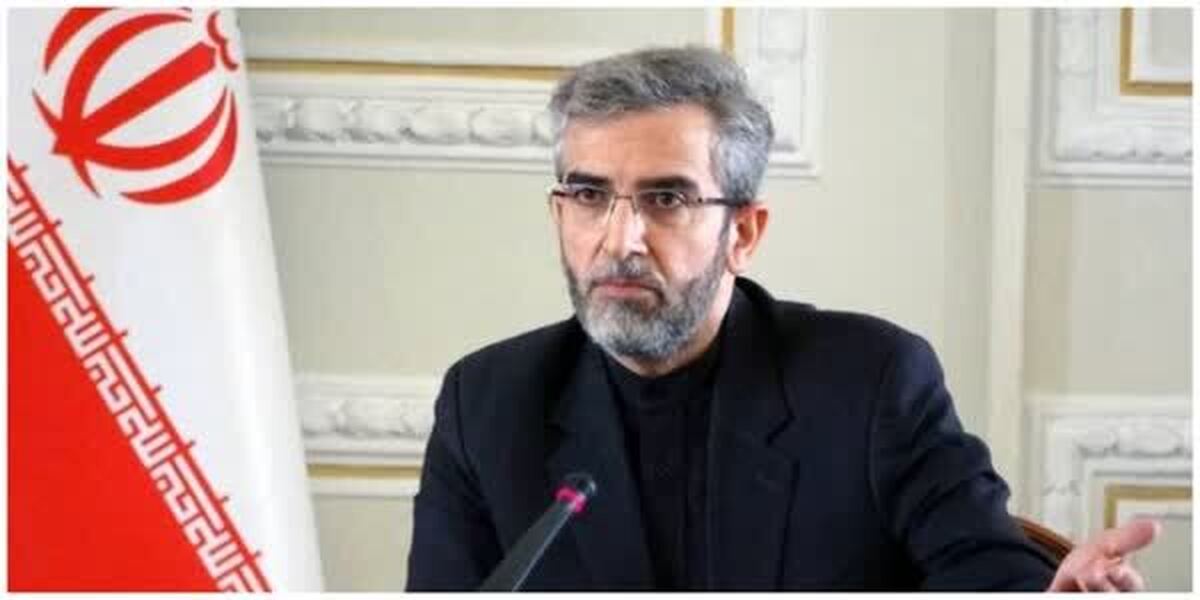 واکنش سرپرست وزارت امور خارجه به اقدام غیرقانونی کانادا