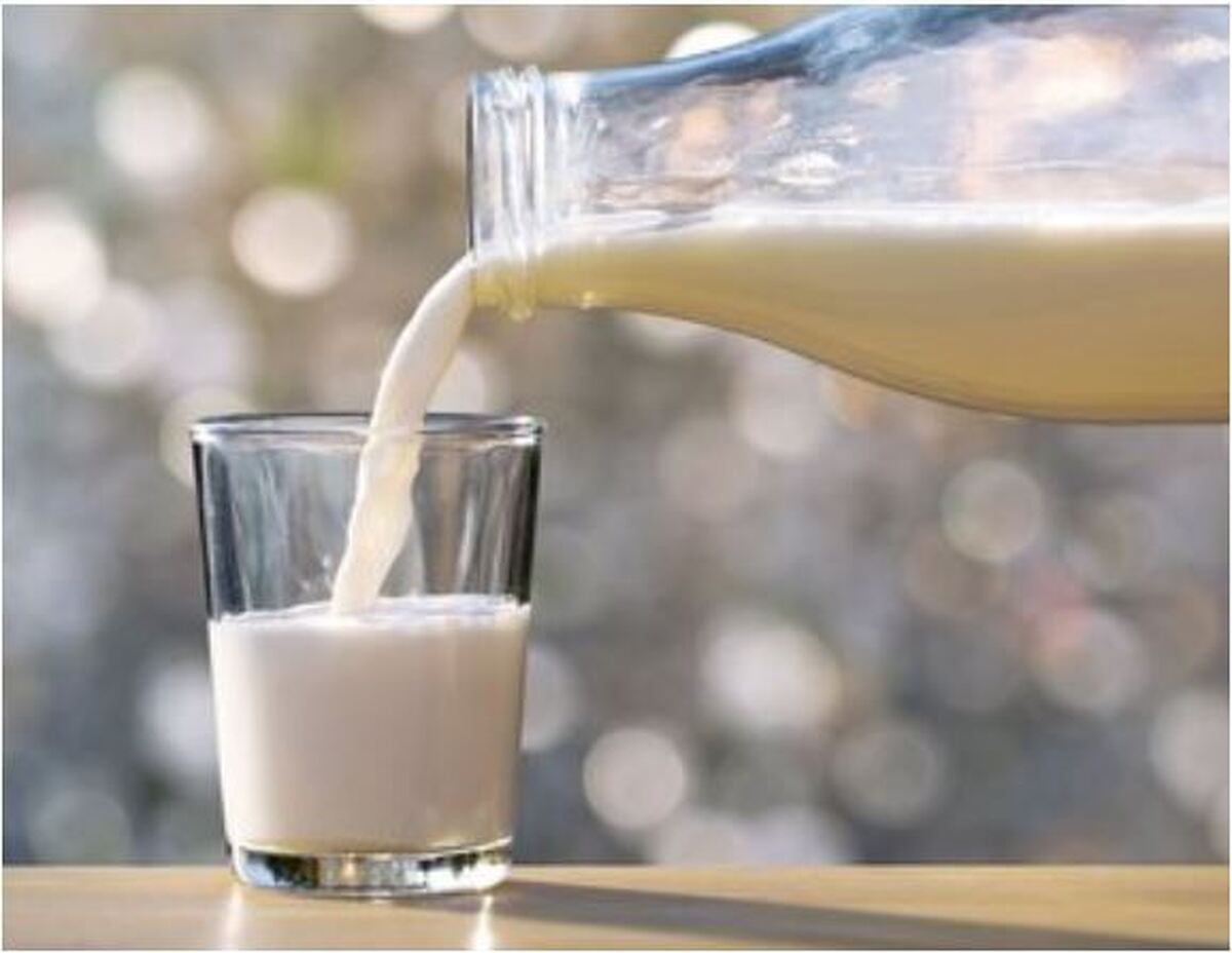 چرا باید روزانه شیر بنوشیم؟