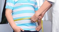 چاقی گا‌ها عاملی ژنتیکی دارد!
