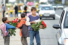 وجود ۳۲۰ پرونده کودک کار و خیابانی در بهزیستی خراسان شمالی