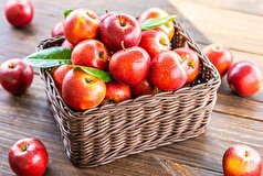 آشنایی با میوه‌های معجزه آسا برای تقویت سیستم ایمنی بدن