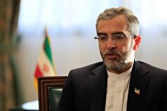 باقری: ایران شریک راهبردی تصمیم‌گیری در کنار سایر اعضای بریکس تبدیل شده است