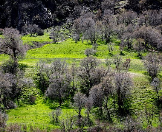 دره عشق؛ بهشتی برای دوست داران طبیعت