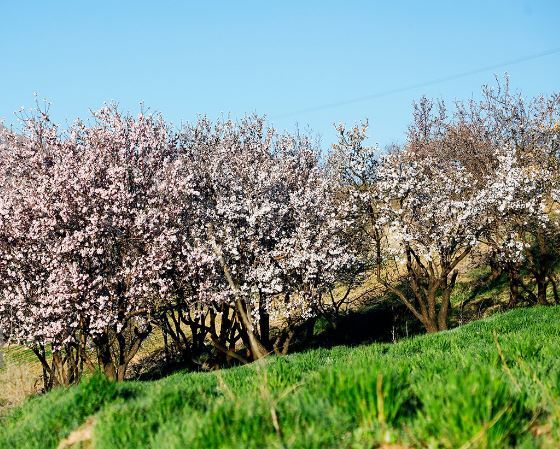 دره عشق؛ بهشتی برای دوست داران طبیعت