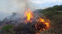 آتش سوزی در پنج هکتار از مراتع «چنارود» شهرستان چادگان