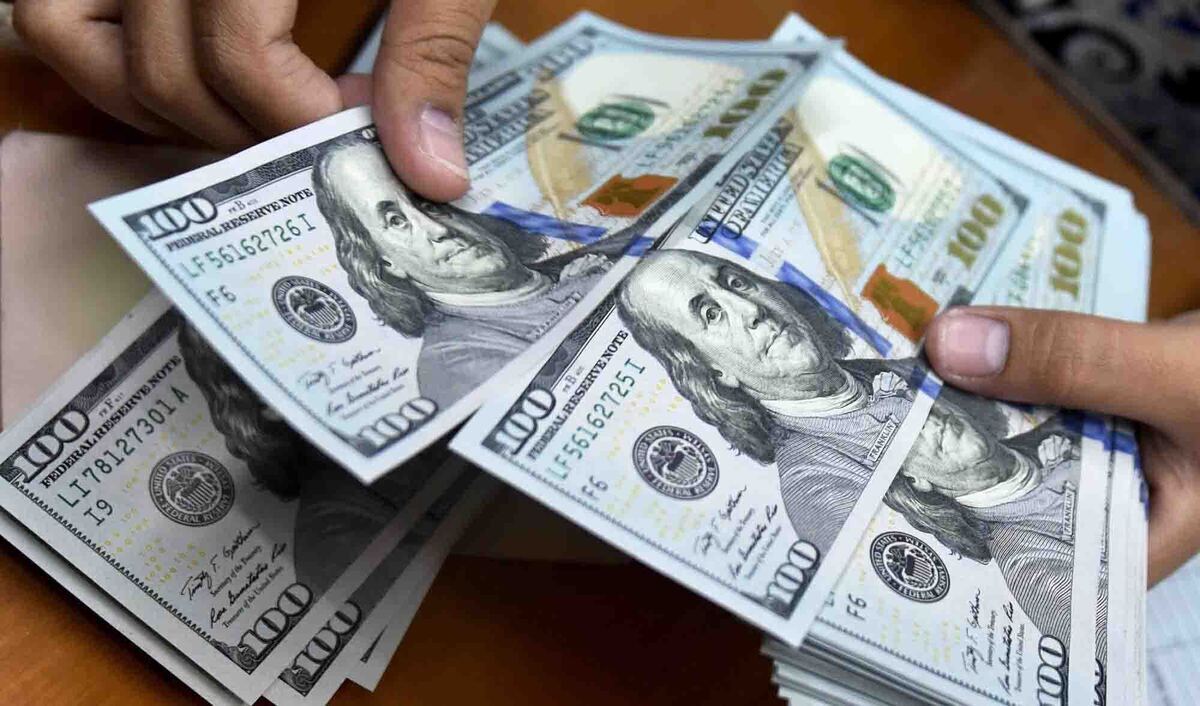 از ابتدای سال تا کنون چند میلیارد دلار ارز برای واردات تخصیص داده شده؟