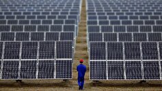 ۳ هزار نیروگاه برق خورشیدی در استان بوشهر راه‌اندازی شد