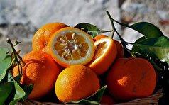 کنترل وزن و کاهش فشار خون از جمله خواص بی نظیر نارنج می‌باشد