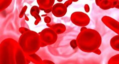 علل بالا بودن گلبول‌های سفید خون در افراد چیست؟