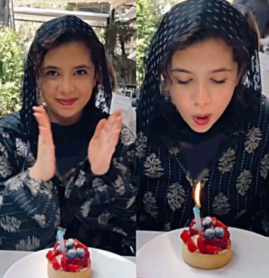 کیک تولد نقلی نفس بازغی سوژه شد