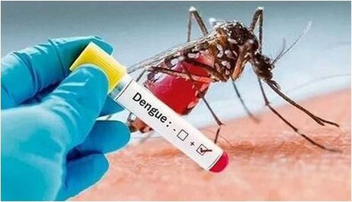 آخرین آمار اعلام شده در مورد مبتلایان تب دنگی