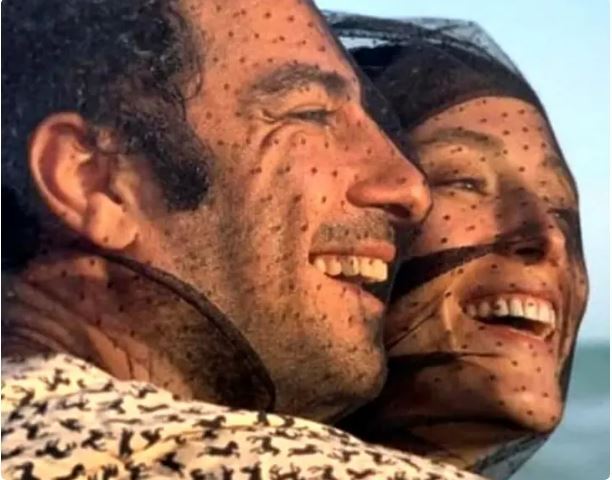ایده عجیب و غریب و خنده دار نوید محمدزاده و همسرش برای عکاسی