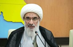 صفایی بوشهری: انتخابات تجلی مردم سالاری دینی است