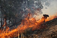 تلاش برای مهار آتش در منطقه حفاظت شده کوه دیل گچساران