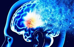 پاک کردن خاطرات بد از مغز یکی از درمان‌های بیماری پارکینسون
