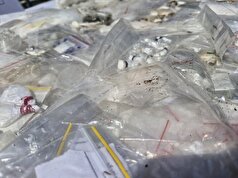 مبارزه با سارقان و خرده فروشان مواد مخدر در شهرستان ری به طور جدی پیگیری می‌شود