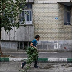 ساکنین تهران مراقب وزش باد شدید همراه با گرد و خاک باشند