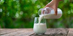 روش جدید لاغری با مصرف شیر