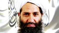 هشدار رئیس طالبان درباره تفرقه میان این گروه