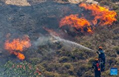 نبرد آتش‌نشانان با ۱۲۲ حریق جنگلی در کرواسی