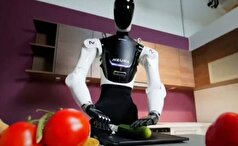 رباتی که خانه داری بلد است!