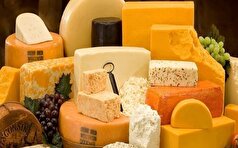 ماجرای پنیر‌های لاکچری که با شیر الاغ تولید می‌شود، چیست؟