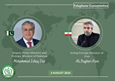 رایزنی دیپلمات‌های ارشد ایران و پاکستان درباره شهادت هنیه و تحولات غزه