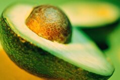 میوه خوشرنگ و مغذی آووکادو چه فوایدی برای سلامتی دارد؟
