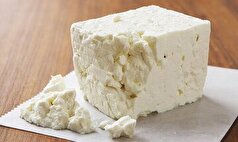 هیچ مجوزی برای تولید پنیر با شیر الاغ صادر نشده است