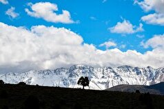 توضیحات مسئولان کهگیلویه و بویراحمد در رابطه با مصوبه جنجالی دنای شمالی