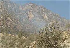 مهار آتش سوزی در شاداب کوه پل‌دختر