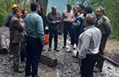 اعزام اکیپ ویژه بازرسی به مازندران برای بررسی قطع درختان
