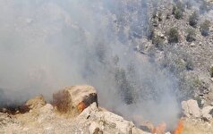 آتش‌سوزی دوباره در جنگل‌های ۴ منطقه کهگیلویه و بویراحمد