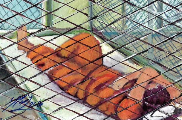 زندان گوانتانامو؛ محل نگهداری متهمان اصلی حملات ۱۱ سپتامبر چجور جایی است؟