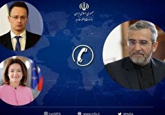 باقری:ایران حقش را با هدف صیانت از امنیت ملی اعمال خواهد کرد