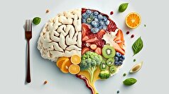 الگو‌های غذایی چگونه بر آلزایمر تاثیر دارند؟