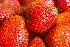 لیست میوه‌های قرمز که برای تامین سلامتی در ارجحیتند!