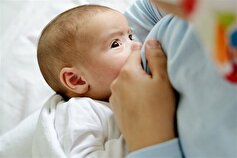 تغذیه ۷۶ درصد نوزادان در کاشمر فقط با شیر مادر