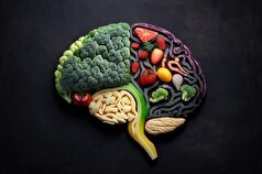 از تاثیر مستقیم تغذیه بر مبتلا شدن به آلزایمر غافل نشوید