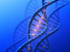 تشخیص و درمان سرطان به کمک DNA غیر کدگذاری شده