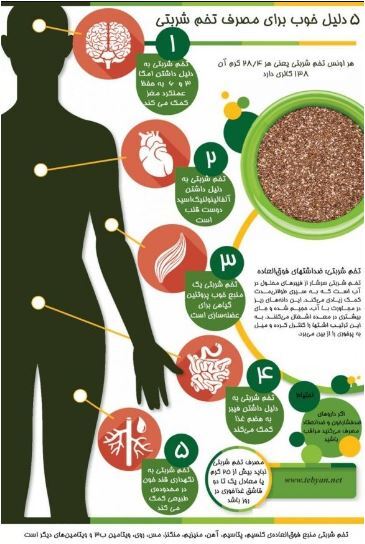 تخم شربتی؛ گنجینه‌ای از خواص شگفت‌انگیز برای سلامتی + اینفوگرافیک