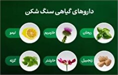 با مصرف این گیاه‌ها سنگ کلیه را از بین ببرید