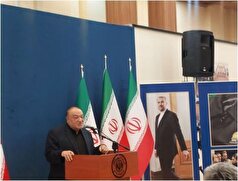 برنامه و اشتیاق عربستان برای همسو شدن با ایران در اقتصاد