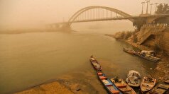 بروز گرد و غبار در خوزستان با اجرای طرح زراعت چوب کاهش می‌یابد