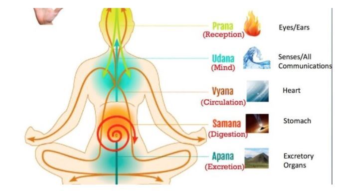 آموزش نحوه کنترل و افزایش پرانا یا همان «نیروی حیات»