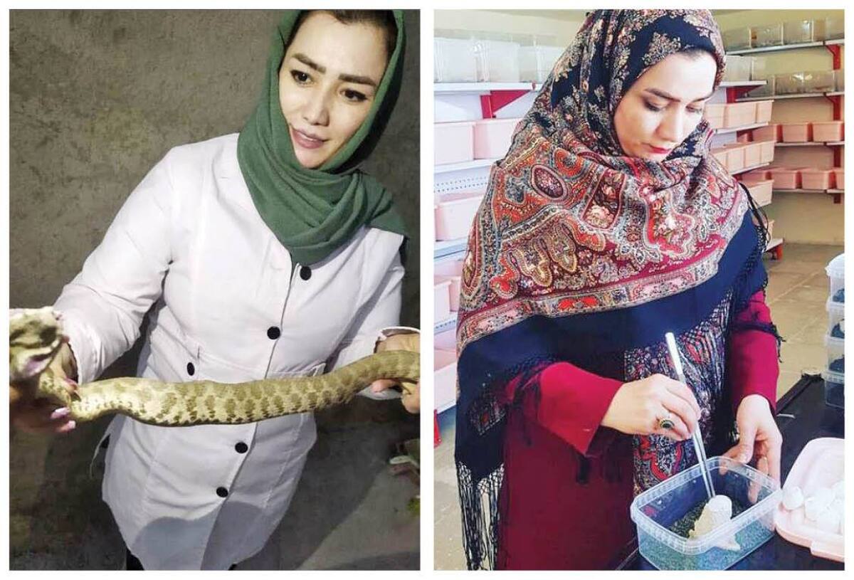 ماجرای سولماز، ملکه ایرانی مارها!