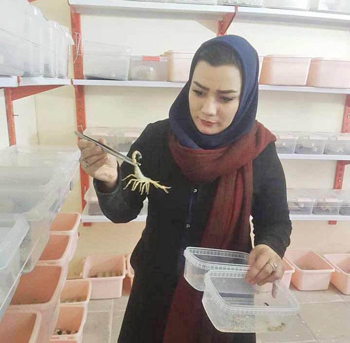 ماجرای سولماز، ملکه ایرانی مارها!