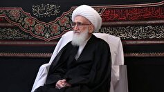 پیام تسلیت آیت الله نوری همدانی در پی ارتحال همسر آیت الله شبیر زنجانی