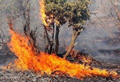 آتش‌سوزی گسترده در کوه‌های لار باشت/درخواست کمک فوری از مسوولان استانی