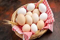 رنگ تخم‌مرغ چه تاثیری بر خاصیت آن دارد؟